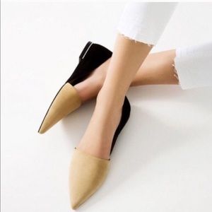 Zara Pointed Toe Flats